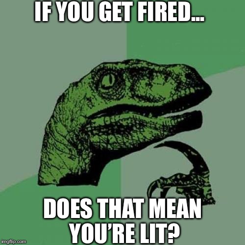 Cringe | IF YOU GET FIRED... DOES THAT MEAN YOU’RE LIT? | image tagged in memes,philosoraptor | made w/ Imgflip meme maker