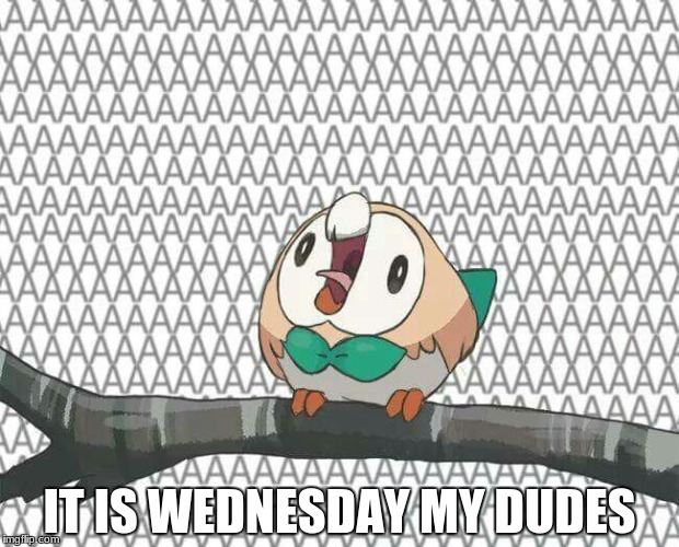 IT IS WEDNESDAY MY DUDES | image tagged in rowlet aaaa,it is wednesday my dudes | made w/ Imgflip meme maker
