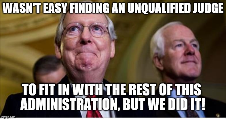 UNQUALIFIED JUDGE | WASN'T EASY FINDING AN UNQUALIFIED JUDGE; TO FIT IN WITH THE REST OF THIS ADMINISTRATION, BUT WE DID IT! | image tagged in smug grin,political meme | made w/ Imgflip meme maker