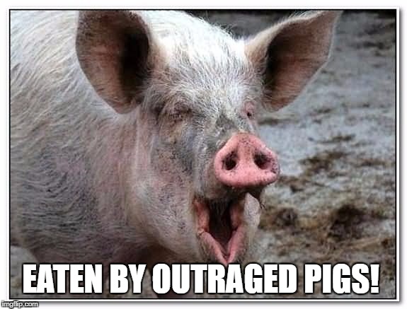 EATEN BY OUTRAGED PIGS! | made w/ Imgflip meme maker