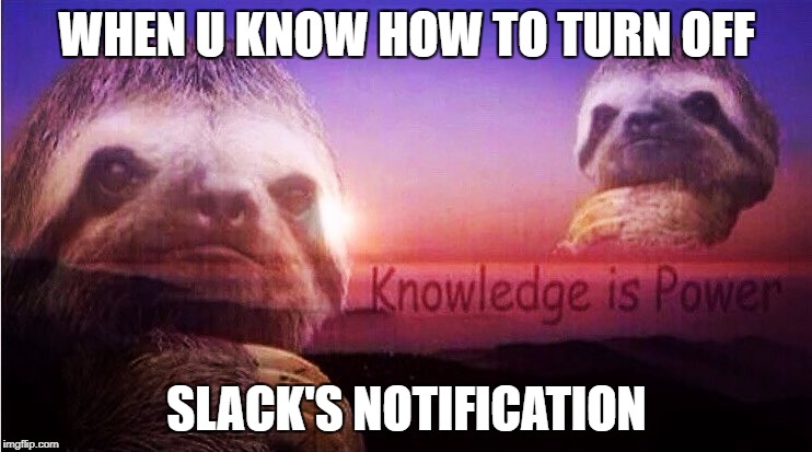Sloth Knowledge is power | WHEN U KNOW HOW TO TURN OFF; SLACK'S NOTIFICATION | image tagged in sloth knowledge is power | made w/ Imgflip meme maker
