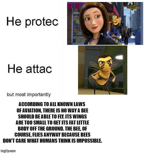 He protec he attac but most importantly | ACCORDING TO ALL KNOWN LAWS OF AVIATION, THERE IS NO WAY A BEE SHOULD BE ABLE TO FLY. ITS WINGS ARE TOO SMALL TO GET ITS FAT LITTLE BODY OFF THE GROUND. THE BEE, OF COURSE, FLIES ANYWAY BECAUSE BEES DON'T CARE WHAT HUMANS THINK IS IMPOSSIBLE. | image tagged in he protec he attac but most importantly | made w/ Imgflip meme maker