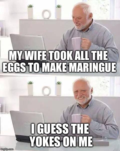 Hide the Pain Harold Meme | MY WIFE TOOK ALL THE EGGS TO MAKE MARINGUE; I GUESS THE YOKES ON ME | image tagged in memes,hide the pain harold | made w/ Imgflip meme maker