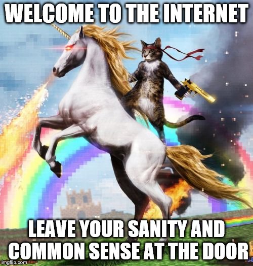 Welcome To The Internets | WELCOME TO THE INTERNET; LEAVE YOUR SANITY AND COMMON SENSE AT THE DOOR | image tagged in memes,welcome to the internets | made w/ Imgflip meme maker