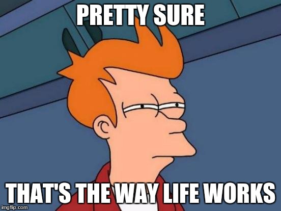 PRETTY SURE THAT'S THE WAY LIFE WORKS | image tagged in memes,futurama fry | made w/ Imgflip meme maker