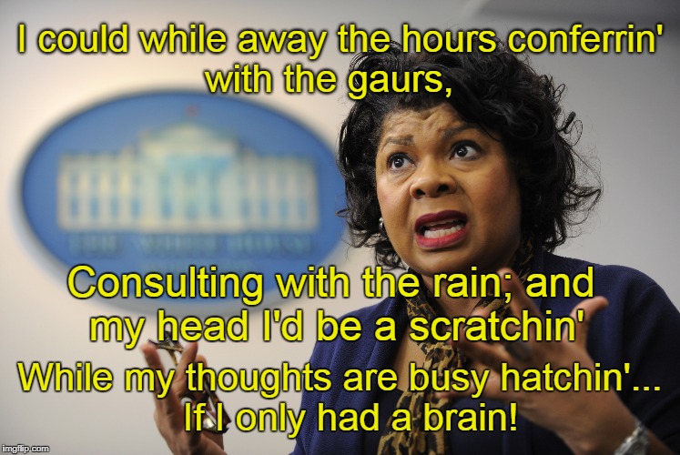 April Ryan wishing she had a brain |  I could while away the hours
conferrin' with the gaurs, Consulting with the rain;
and my head I'd be a scratchin'; While my thoughts are busy hatchin'... 
If I only had a brain! | image tagged in april ryan,brain,cnn,fake news | made w/ Imgflip meme maker