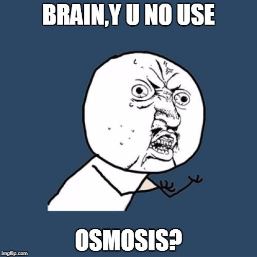 Y U No | BRAIN,Y U NO USE; OSMOSIS? | image tagged in memes,y u no | made w/ Imgflip meme maker