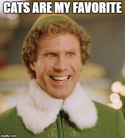 Buddith | CATS ARE MY FAVORITE | image tagged in buddith | made w/ Imgflip meme maker