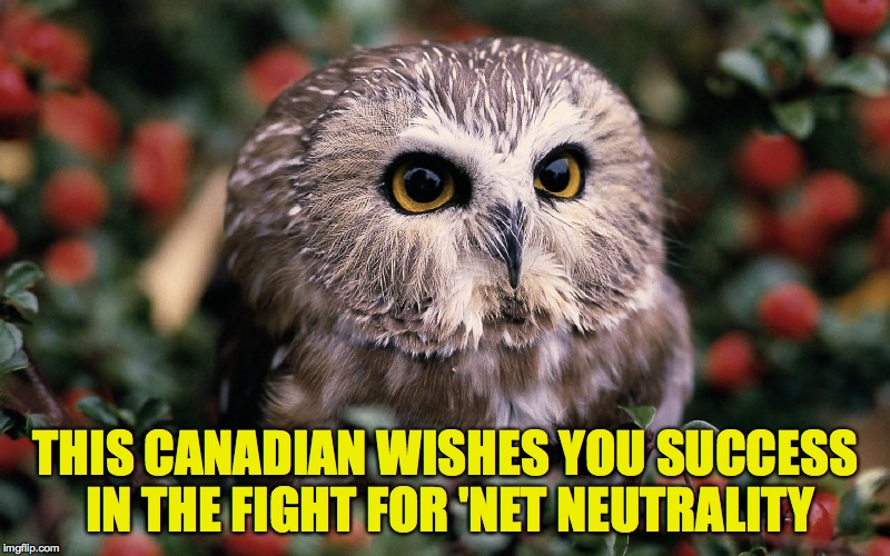 THIS CANADIAN WISHES YOU SUCCESS IN THE FIGHT FOR 'NET NEUTRALITY | made w/ Imgflip meme maker