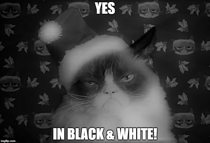 YES IN BLACK & WHITE! | made w/ Imgflip meme maker
