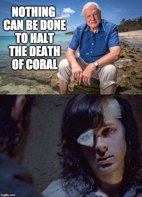 Coral Guaranteed Death | NOTHING CAN BE DONE TO HALT THE DEATH OF CORAL | image tagged in coral,carl,walking dead,the walking dead coral,the walking dead | made w/ Imgflip meme maker