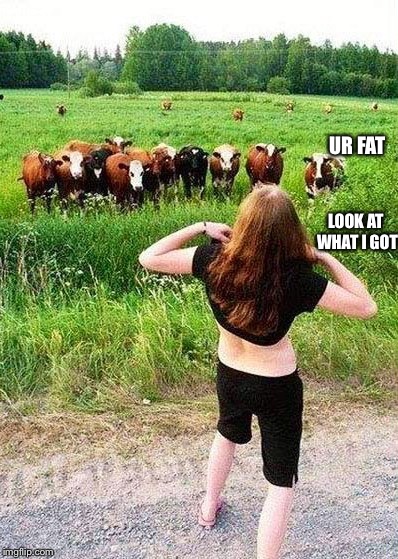 Flashing Cows(?) | UR FAT; LOOK AT WHAT I GOT | image tagged in flashing cows | made w/ Imgflip meme maker