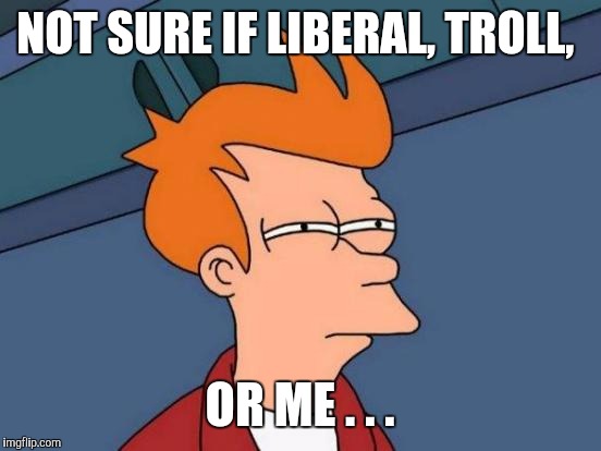 Futurama Fry Meme | NOT SURE IF LIBERAL, TROLL, OR ME . . . | image tagged in memes,futurama fry | made w/ Imgflip meme maker