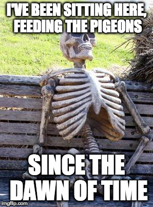 Waiting Skeleton | I'VE BEEN SITTING HERE, FEEDING THE PIGEONS; SINCE THE DAWN OF TIME | image tagged in memes,waiting skeleton | made w/ Imgflip meme maker