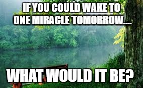 Nature | IF YOU COULD WAKE TO ONE MIRACLE TOMORROW.... WHAT WOULD IT BE? | image tagged in nature | made w/ Imgflip meme maker