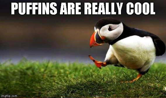 PUFFINS ARE REALLY COOL | made w/ Imgflip meme maker