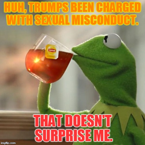 Trump in Late December | HUH, TRUMPS BEEN CHARGED WITH SEXUAL MISCONDUCT. THAT DOESN'T SURPRISE ME. | image tagged in memes,but thats none of my business,kermit the frog,trump,december 2017 | made w/ Imgflip meme maker