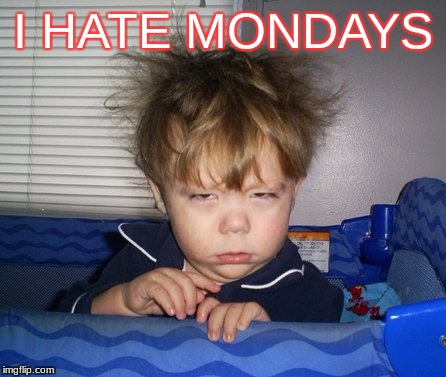 Monday Mornings | I HATE MONDAYS | image tagged in monday mornings | made w/ Imgflip meme maker