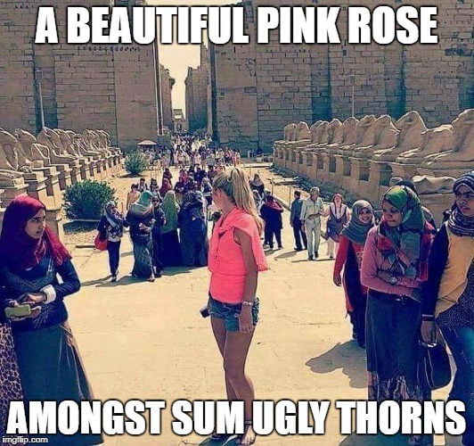 A BEAUTIFUL PINK ROSE; AMONGST SUM UGLY THORNS | image tagged in rose,thorns | made w/ Imgflip meme maker