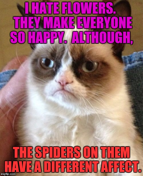 Grumpy Cat Meme | I HATE FLOWERS.  THEY MAKE EVERYONE SO HAPPY.  ALTHOUGH, THE SPIDERS ON THEM HAVE A DIFFERENT AFFECT. | image tagged in memes,grumpy cat | made w/ Imgflip meme maker
