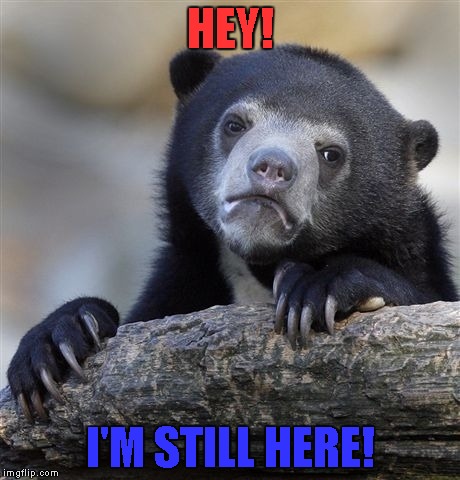 Confession Bear Meme | HEY! I'M STILL HERE! | image tagged in memes,confession bear | made w/ Imgflip meme maker