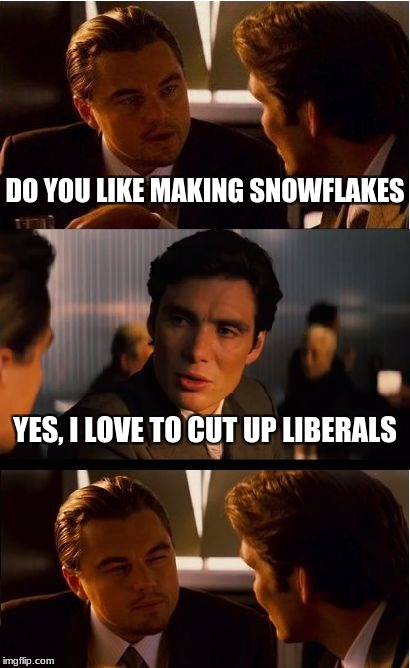 Making Snowflakes | DO YOU LIKE MAKING SNOWFLAKES; YES, I LOVE TO CUT UP LIBERALS | image tagged in memes,inception,snowflakes,liberals,politics | made w/ Imgflip meme maker