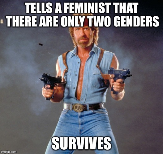 Chuck Norris Guns Meme | TELLS A FEMINIST THAT THERE ARE ONLY TWO GENDERS; SURVIVES | image tagged in memes,chuck norris guns,chuck norris | made w/ Imgflip meme maker