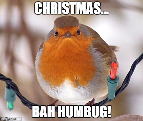 Bah Humbug |  CHRISTMAS... BAH HUMBUG! | image tagged in memes,bah humbug | made w/ Imgflip meme maker