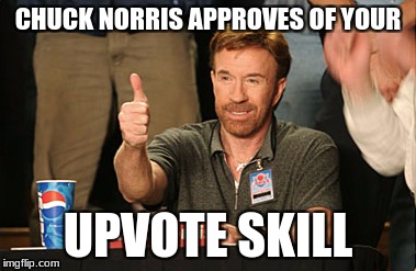 Chuck Norris Approves | CHUCK NORRIS APPROVES OF YOUR; UPVOTE SKILL | image tagged in memes,chuck norris approves,chuck norris | made w/ Imgflip meme maker
