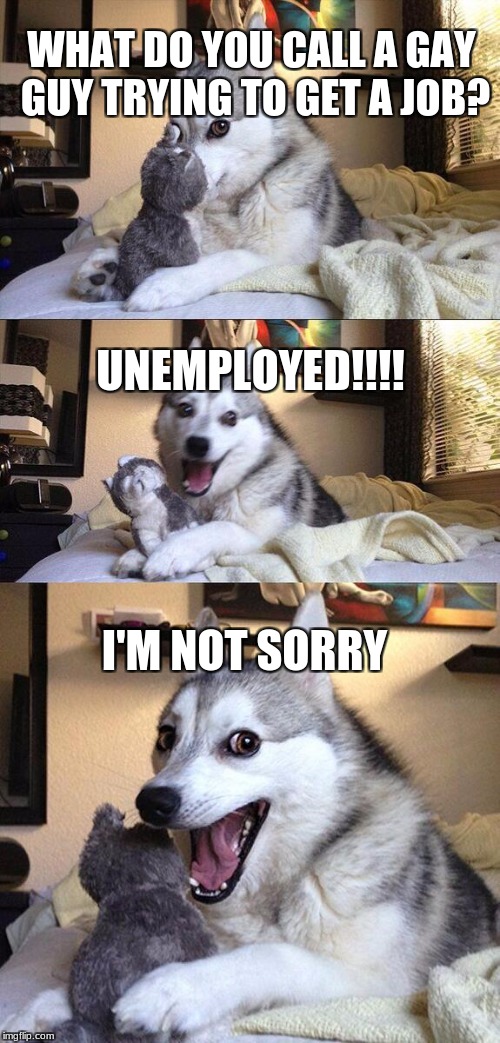 Bad Pun Dog Meme | WHAT DO YOU CALL A GAY GUY TRYING TO GET A JOB? UNEMPLOYED!!!! I'M NOT SORRY | image tagged in memes,bad pun dog | made w/ Imgflip meme maker