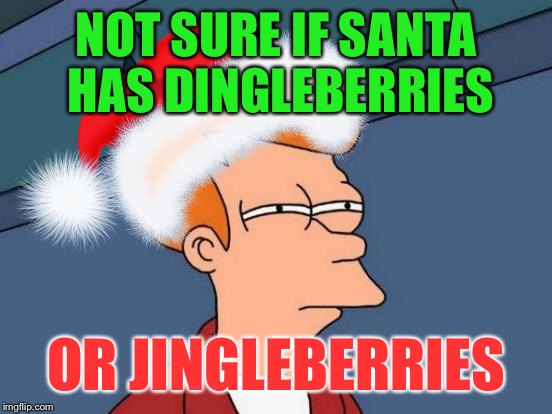 Christmas Fry | NOT SURE IF SANTA HAS DINGLEBERRIES; OR JINGLEBERRIES | image tagged in futurama fry | made w/ Imgflip meme maker