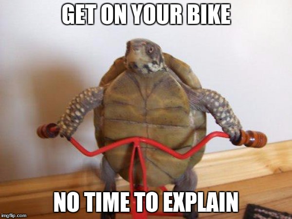 Turtle on bike | GET ON YOUR BIKE; NO TIME TO EXPLAIN | image tagged in turtle,bike,memes | made w/ Imgflip meme maker