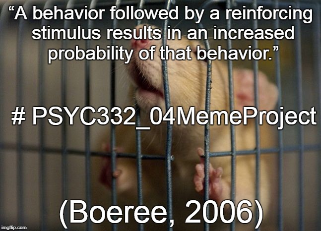 rat in a cage | “A behavior followed by a reinforcing stimulus results in an increased probability of that behavior.”; # PSYC332_04MemeProject; (Boeree, 2006) | image tagged in rat in a cage | made w/ Imgflip meme maker