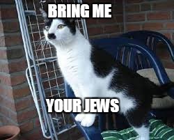 BRING ME; YOUR JEWS | image tagged in hitler the cat | made w/ Imgflip meme maker