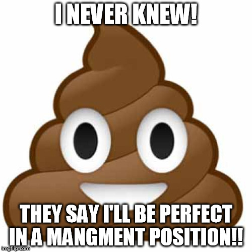 Poop emoji | I NEVER KNEW! THEY SAY I'LL BE PERFECT IN A MANGMENT POSITION!! | image tagged in poop emoji | made w/ Imgflip meme maker