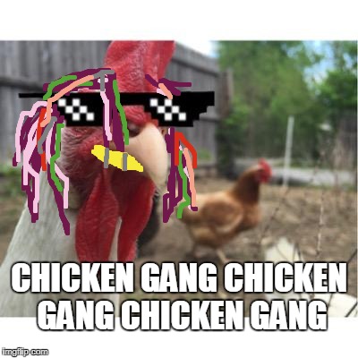 CHICKEN GANG CHICKEN GANG CHICKEN GANG | made w/ Imgflip meme maker