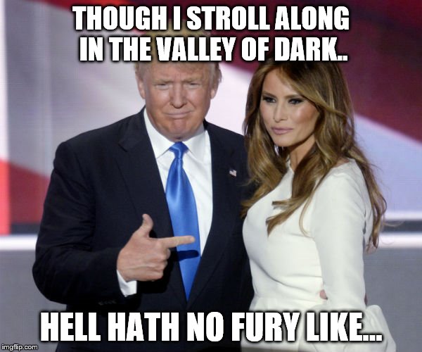 Trump melania pointing | THOUGH I STROLL ALONG IN THE VALLEY OF DARK.. HELL HATH NO FURY LIKE... | image tagged in trump melania pointing | made w/ Imgflip meme maker