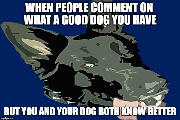 WHEN PEOPLE COMMENT ON WHAT A GOOD DOG YOU HAVE; BUT YOU AND YOUR DOG BOTH KNOW BETTER | made w/ Imgflip meme maker