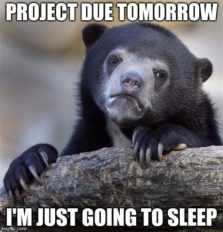 Confession Bear | PROJECT DUE TOMORROW; I'M JUST GOING TO SLEEP | image tagged in memes,confession bear | made w/ Imgflip meme maker