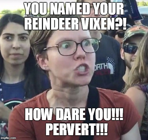 The Harassment Scandal Finally Catches up with Santa | YOU NAMED YOUR REINDEER VIXEN?! HOW DARE YOU!!!  PERVERT!!! | image tagged in triggered feminist | made w/ Imgflip meme maker