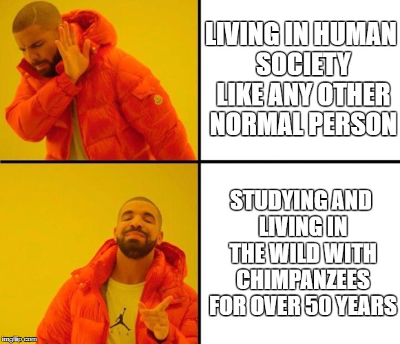 drake meme | LIVING IN HUMAN SOCIETY LIKE ANY OTHER NORMAL PERSON; STUDYING AND LIVING IN THE WILD WITH CHIMPANZEES FOR OVER 50 YEARS | image tagged in drake meme | made w/ Imgflip meme maker