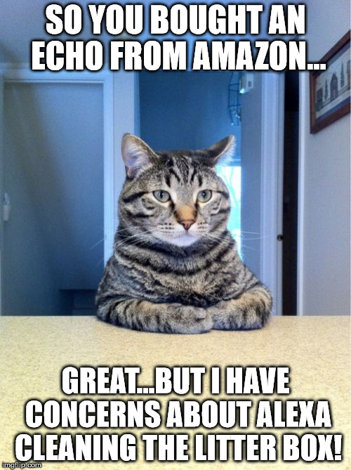 Take A Seat Cat Meme | SO YOU BOUGHT AN ECHO FROM AMAZON... GREAT...BUT I HAVE CONCERNS ABOUT ALEXA CLEANING THE LITTER BOX! | image tagged in memes,take a seat cat | made w/ Imgflip meme maker