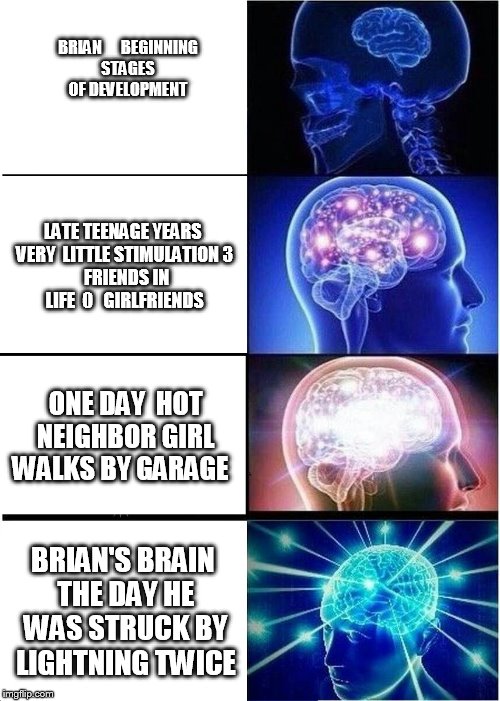   the     brain  of  brian  | BRIAN   


BEGINNING STAGES OF DEVELOPMENT; LATE TEENAGE YEARS VERY  LITTLE STIMULATION
3  FRIENDS IN LIFE  0   GIRLFRIENDS; ONE DAY 
HOT NEIGHBOR GIRL WALKS BY GARAGE; BRIAN'S BRAIN THE DAY HE WAS STRUCK BY LIGHTNING TWICE | image tagged in memes,expanding brain,brian   girlfriend,teenage years | made w/ Imgflip meme maker