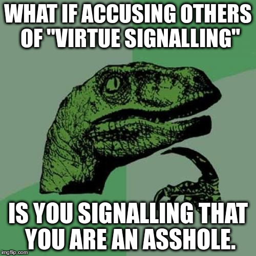 Philosoraptor notices a trend among Internet trolls these days | WHAT IF ACCUSING OTHERS OF "VIRTUE SIGNALLING"; IS YOU SIGNALLING THAT YOU ARE AN ASSHOLE. | image tagged in memes,philosoraptor,virtue signalling,internet trolls | made w/ Imgflip meme maker