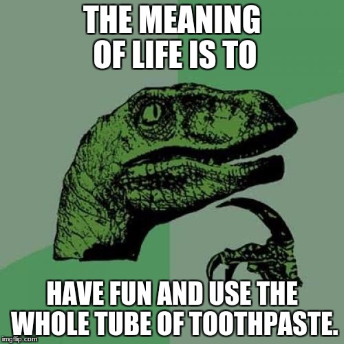 Philosoraptor Meme | THE MEANING OF LIFE IS TO; HAVE FUN AND USE THE WHOLE TUBE OF TOOTHPASTE. | image tagged in memes,philosoraptor | made w/ Imgflip meme maker