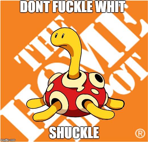 DONT FUCKLE WHIT; SHUCKLE | image tagged in pokemon | made w/ Imgflip meme maker