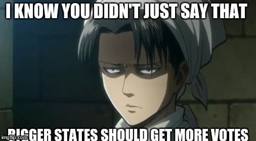 I KNOW YOU DIDN'T JUST SAY THAT; BIGGER STATES SHOULD GET MORE VOTES | image tagged in anime meme | made w/ Imgflip meme maker