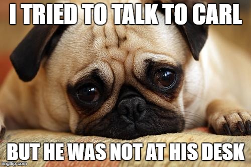 sad pug | I TRIED TO TALK TO CARL; BUT HE WAS NOT AT HIS DESK | image tagged in sad pug | made w/ Imgflip meme maker