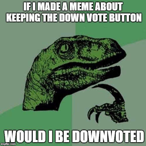 Philosoraptor Meme | IF I MADE A MEME ABOUT KEEPING THE DOWN VOTE BUTTON; WOULD I BE DOWNVOTED | image tagged in memes,philosoraptor | made w/ Imgflip meme maker