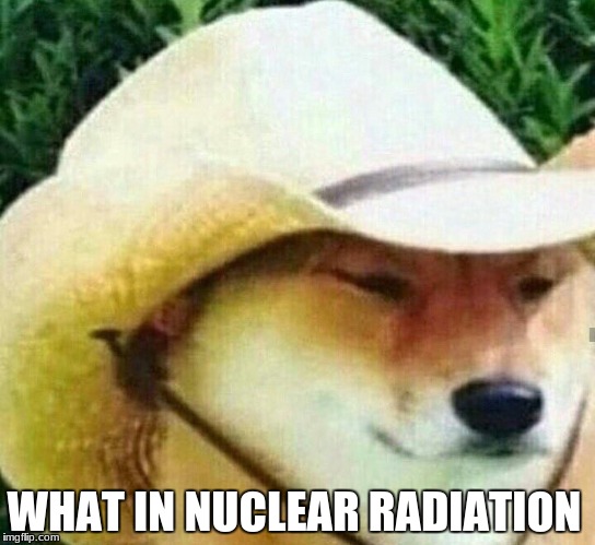 What in tarnation | WHAT IN NUCLEAR RADIATION | image tagged in what in tarnation | made w/ Imgflip meme maker